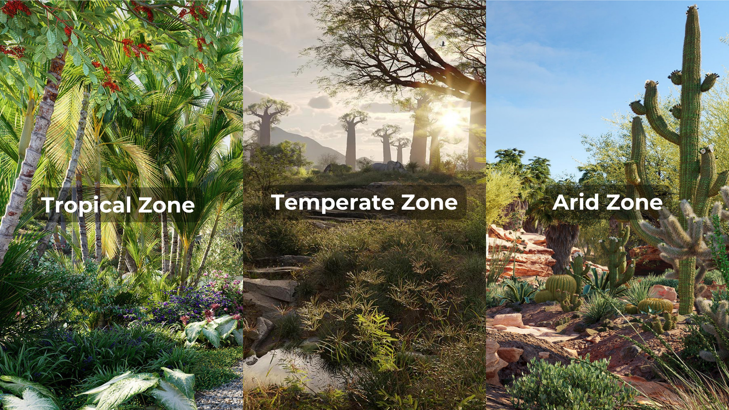 How to Customize 3D Plant Models for Different Climate Zones in Your Projects