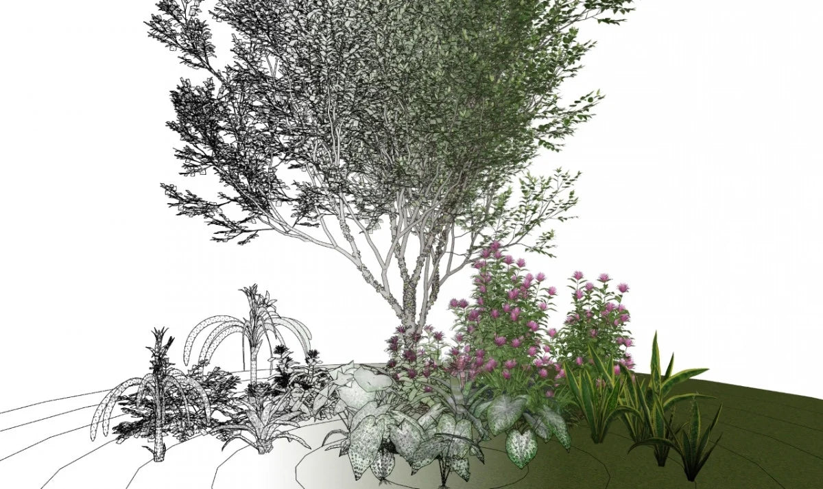 Low Polygon 3D Plant Models