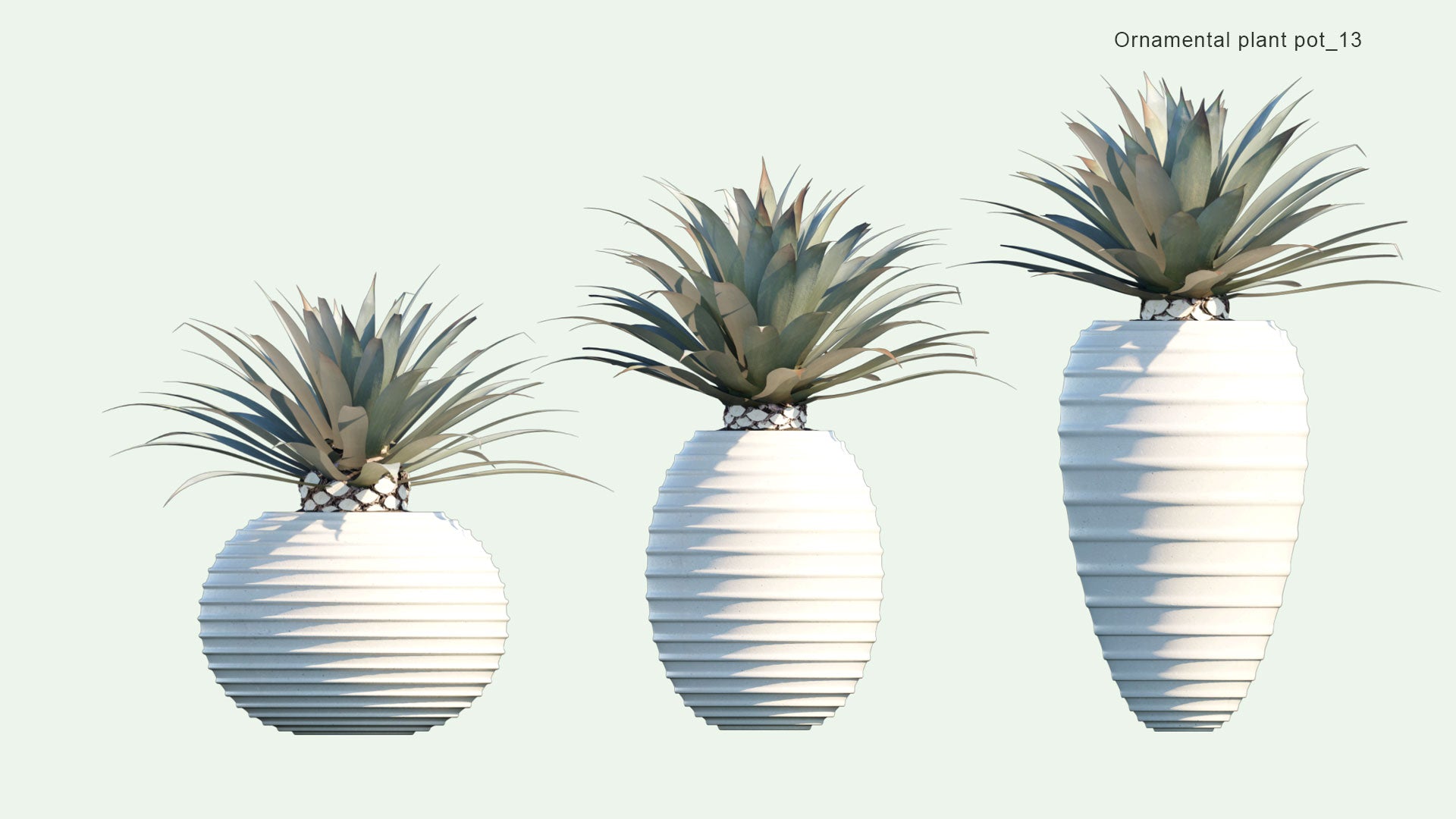 2D Ornamental Pot Plant 13 Agave Tequilana