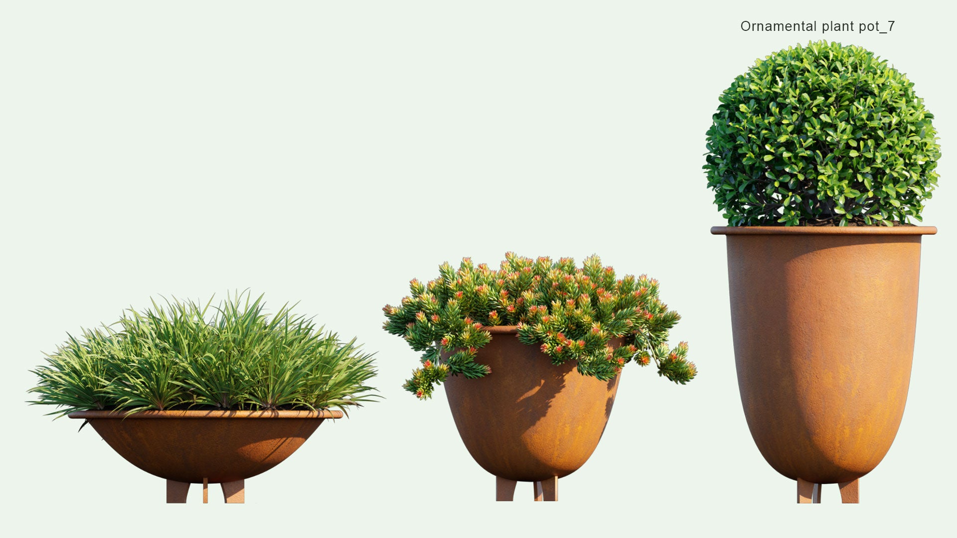 2D Ornamental Pot Plant 07 Pittosporum Tobira