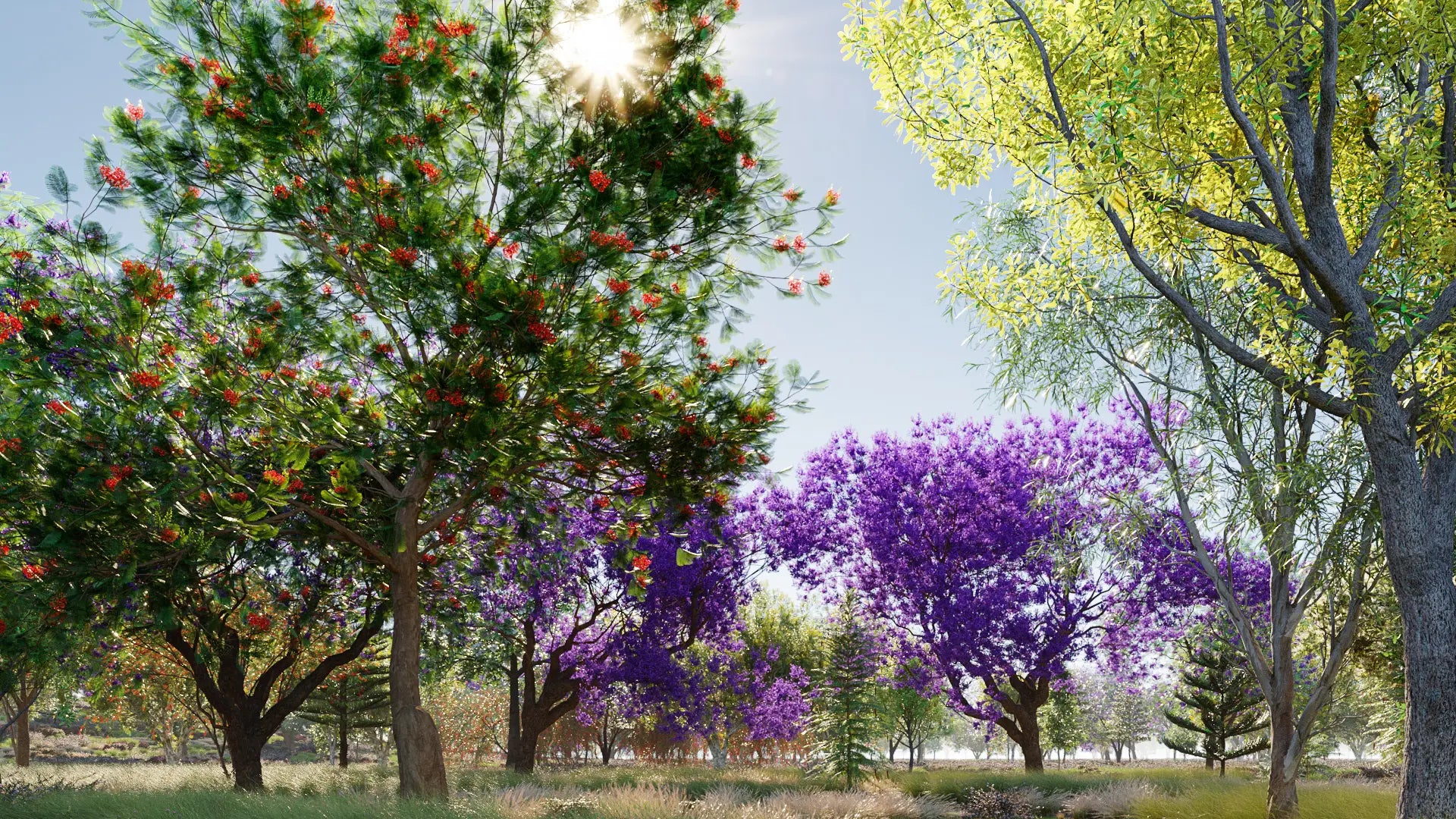 Bundle 08 - Oceania Trees (3D Model)