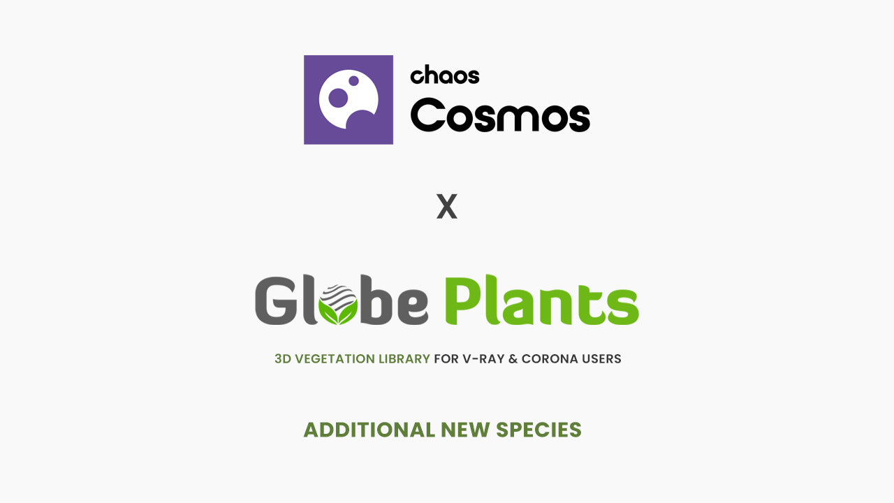 Exciting New Additions of Globe Plants on Chaos Cosmos!