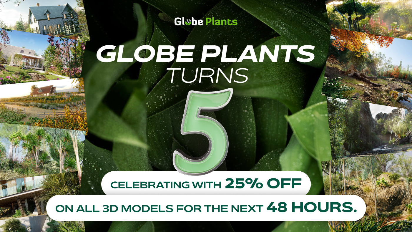 5 Years of Globe Plants: A Journey of Growth and Gratitude