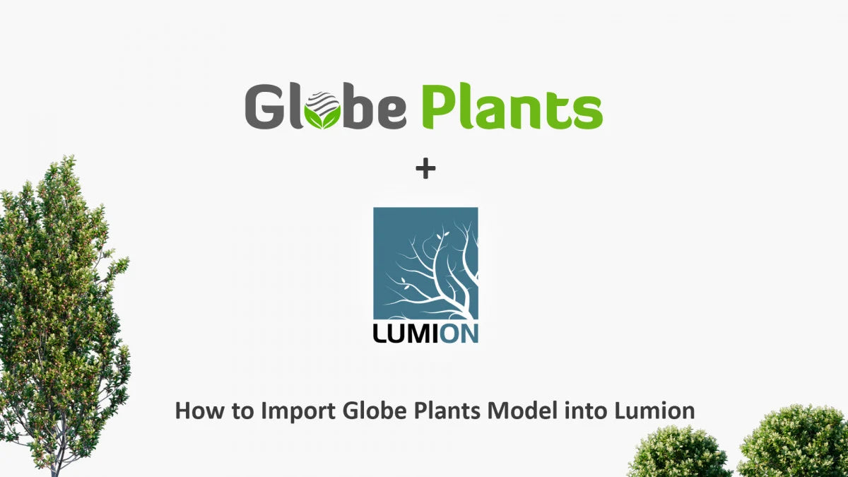 How to import Globe Plants 3D Plant model into Lumion