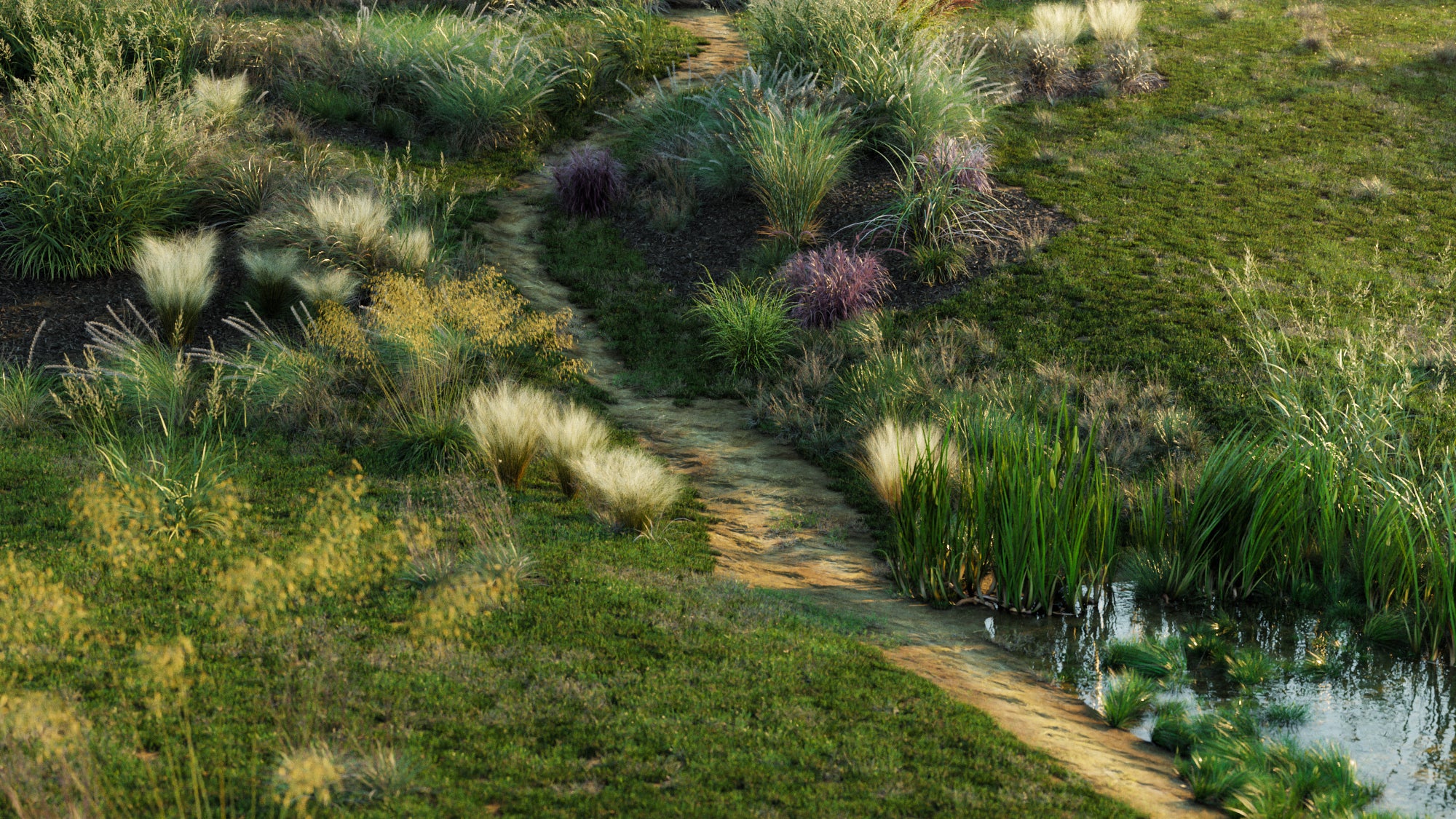 2D Bundle 18 - Ornamental Grasses