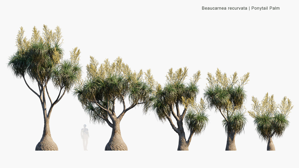 Rhino Tree Model Abstract Rhino 3d Trees