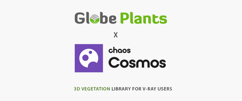 Globe Plants