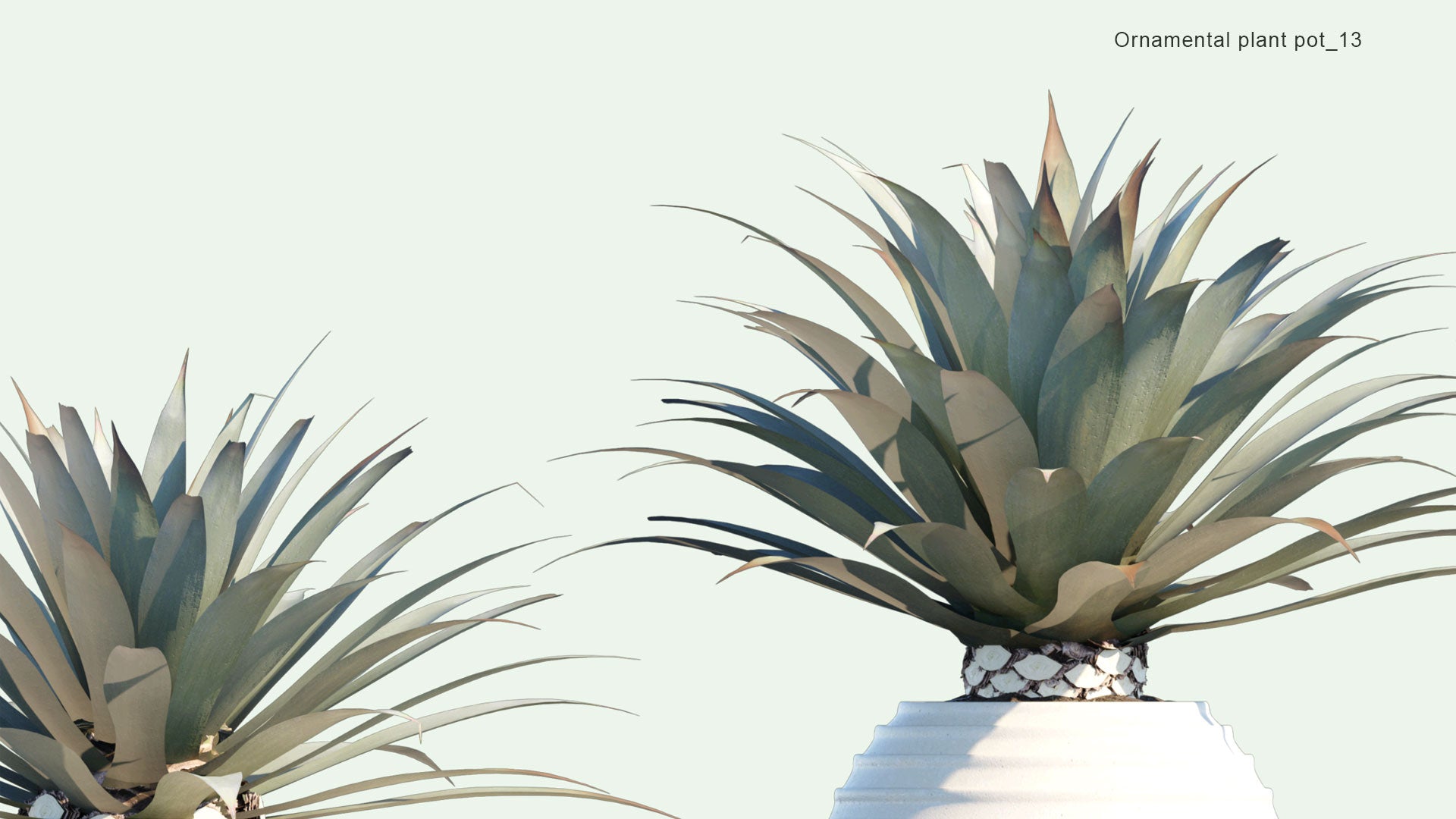 2D Ornamental Pot Plant 13 - Agave Tequilana
