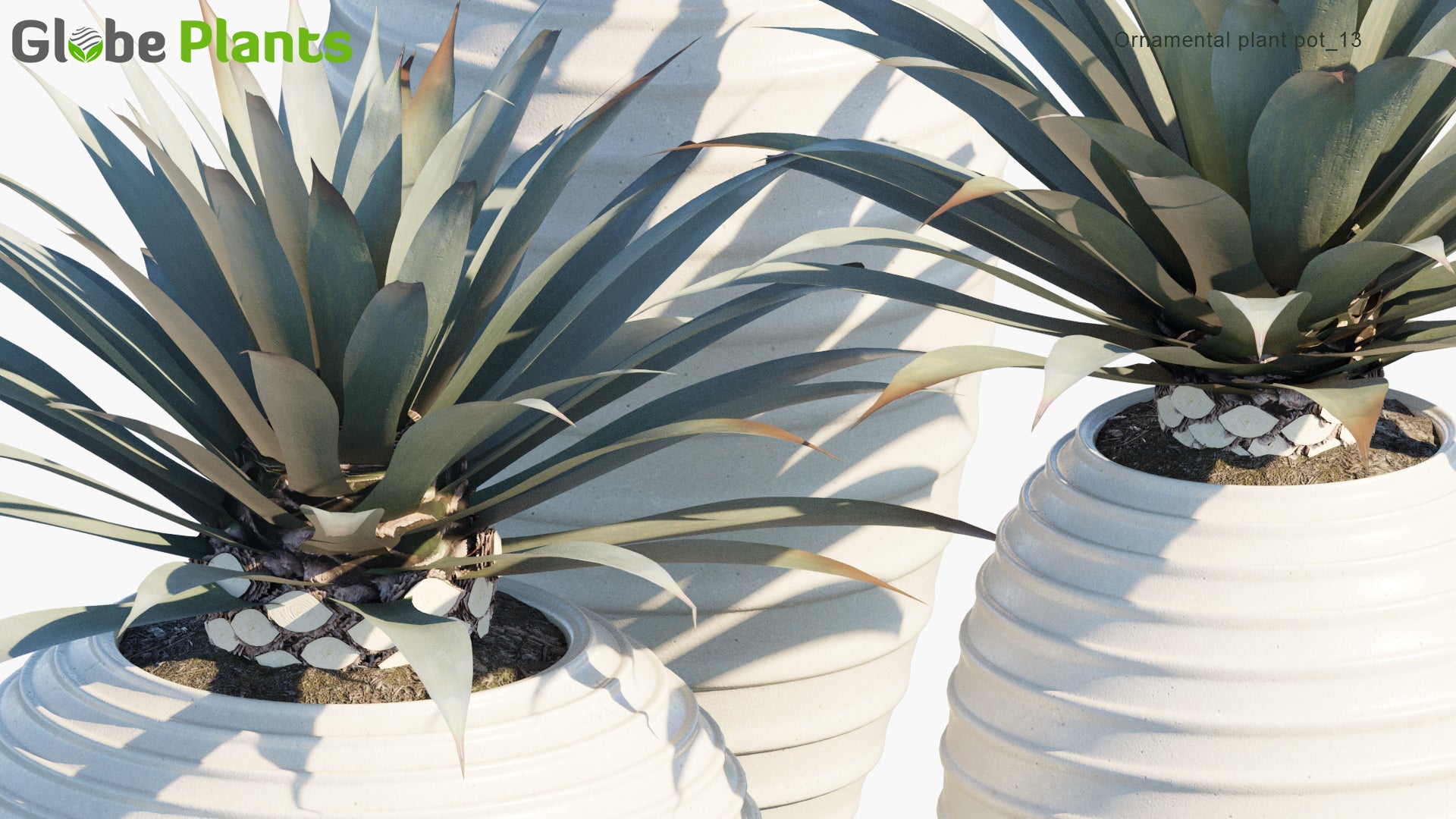 Ornamental Pot Plant 13 - Agave Tequilana (3D Model)