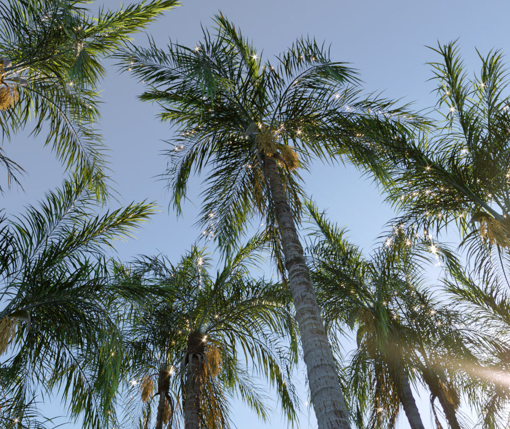 Globe Plants