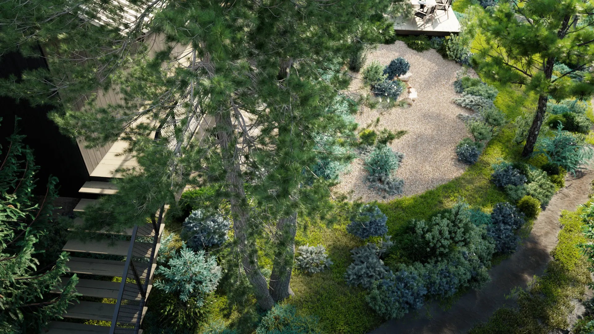 Bundle 10 - Conifer Garden - Remake (3D Model)