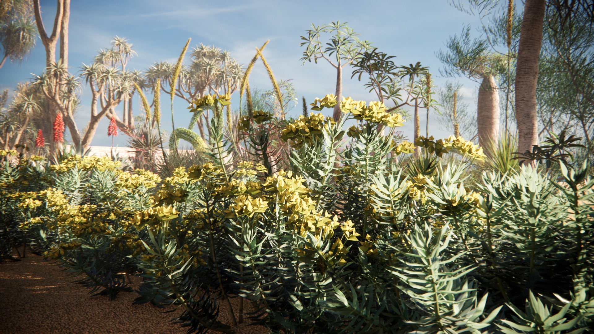 Low Poly Bundle 11 - Desert Plants (3D Model)