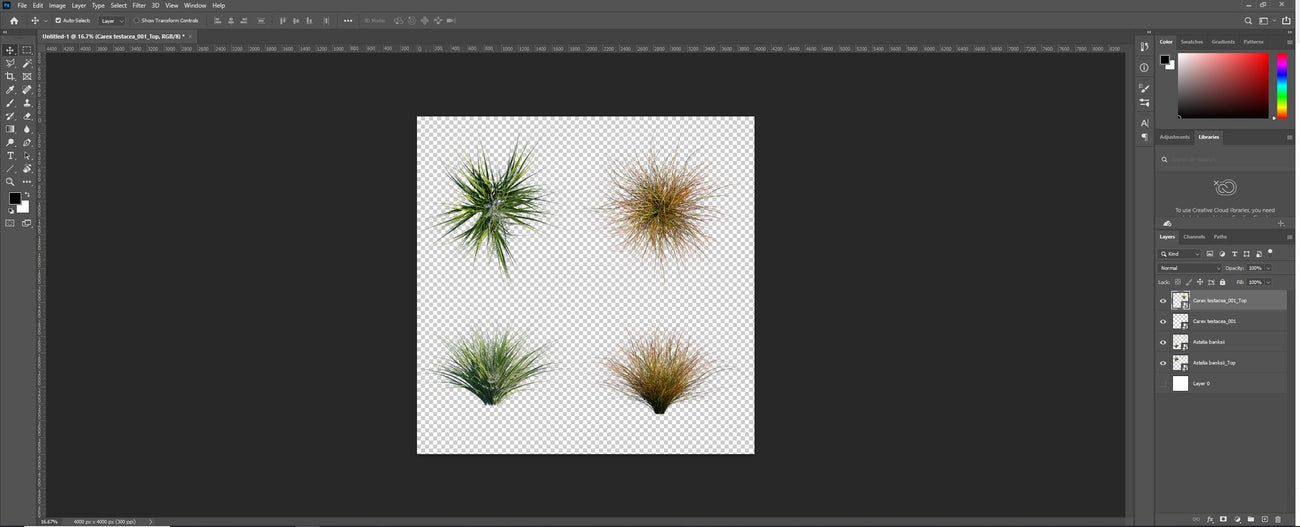 How our 2D PNG files look like in Photoshop