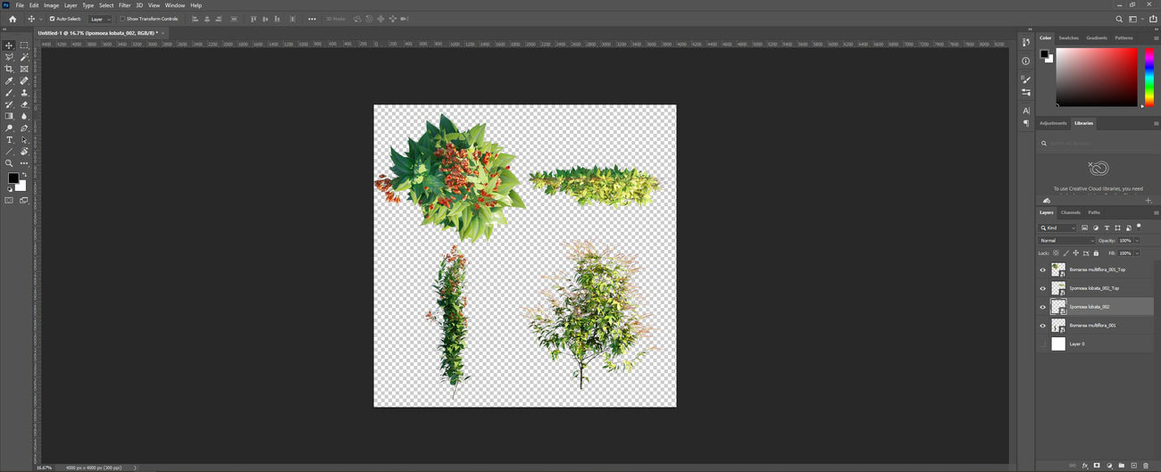 How our 2D PNG files look like in Photoshop