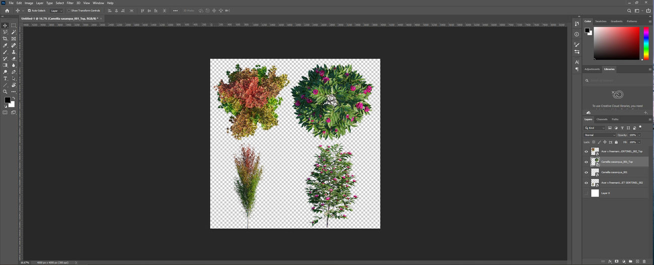 How our 2D PNG files look like in Photoshop