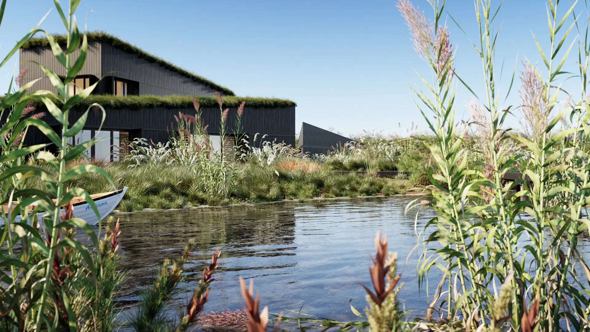 2D Bundle 26 - Ornamental Grasses 02