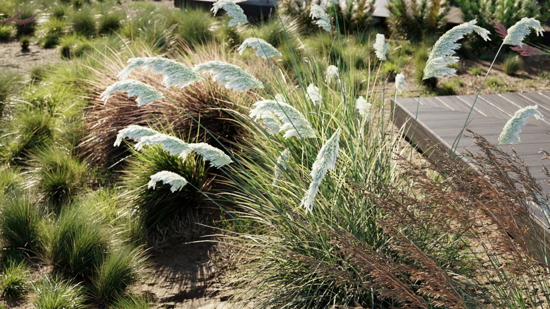 2D Bundle 26 - Ornamental Grasses 02