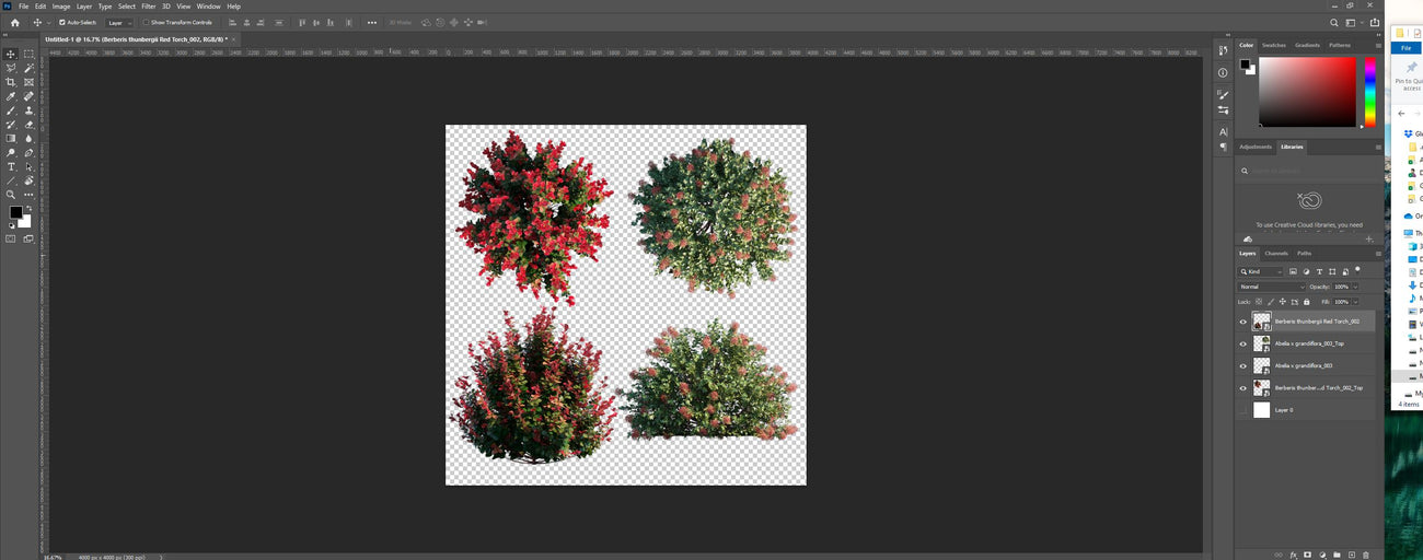 How our 2D PNG files look like in Photoshop