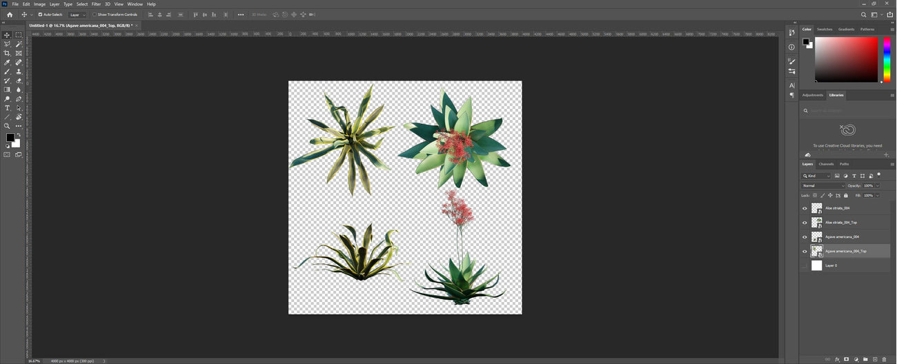 How our 2D PNG files look like in Photoshop