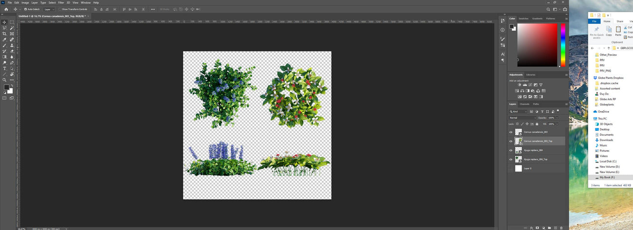 How our 2D PNG files look like in Photoshop