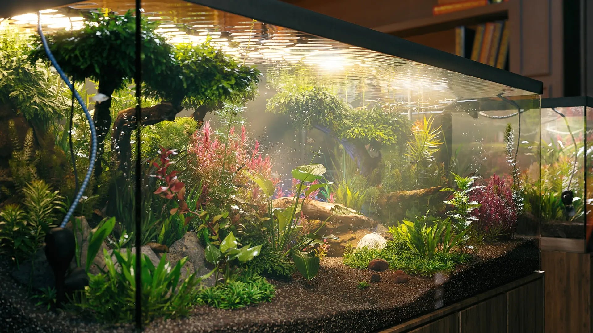Bundle 48 - Aquatic Plants GrowFX