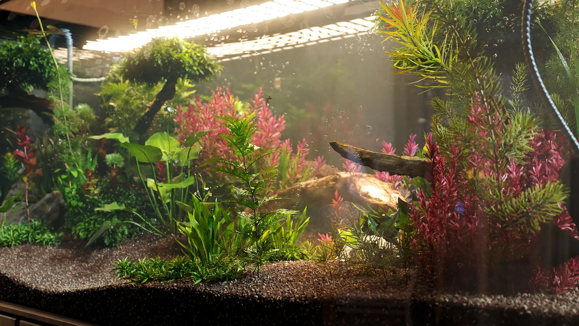 Bundle 48 - Aquatic Plants GrowFX