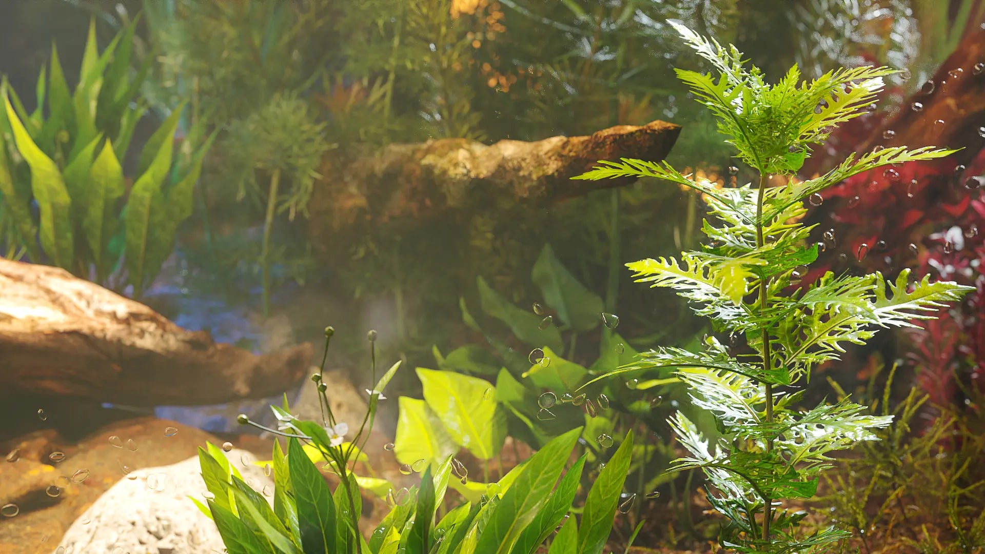 Bundle 48 - Aquatic Plants GrowFX
