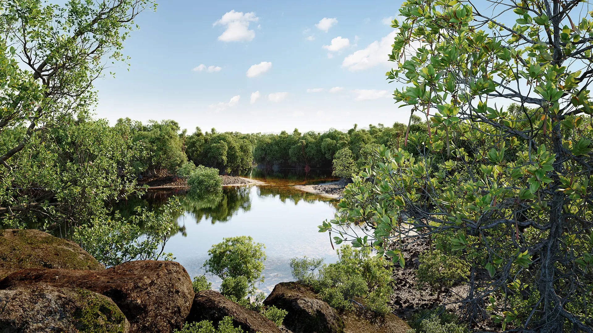Bundle 50 - Mangrove Plants (3D Model) GrowFX