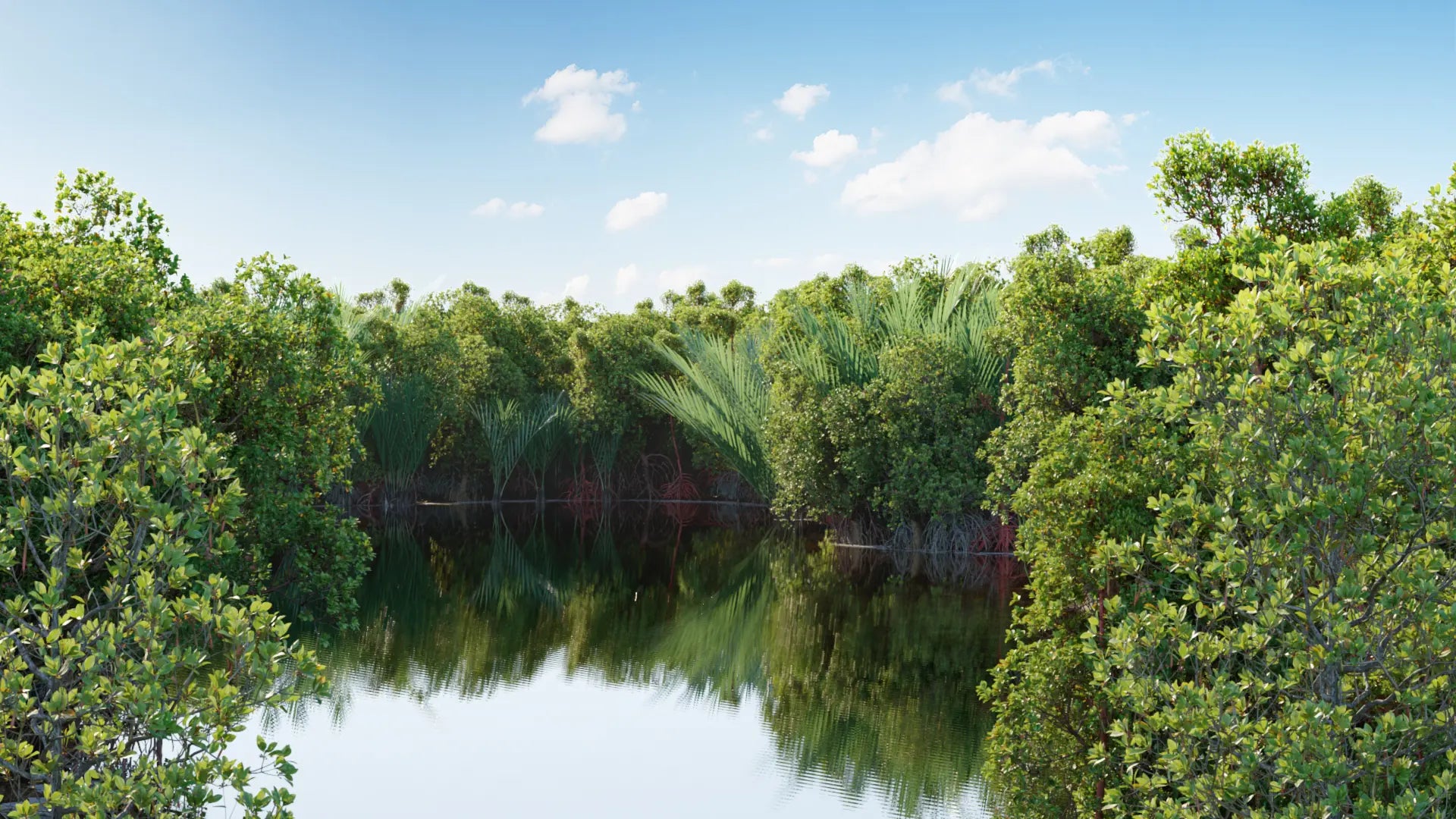 Bundle 50 - Mangrove Plants (3D Model) GrowFX