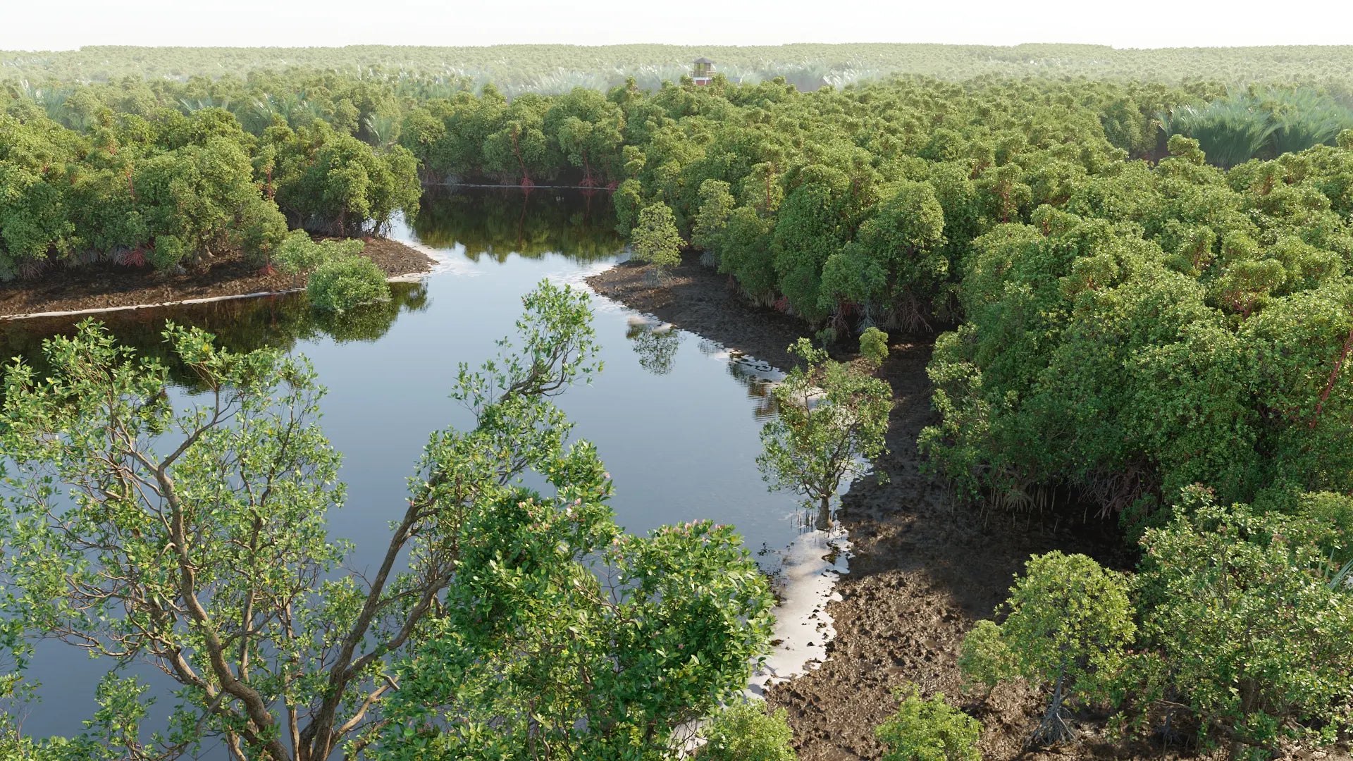 Bundle 50 - Mangrove Plants (3D Model) GrowFX