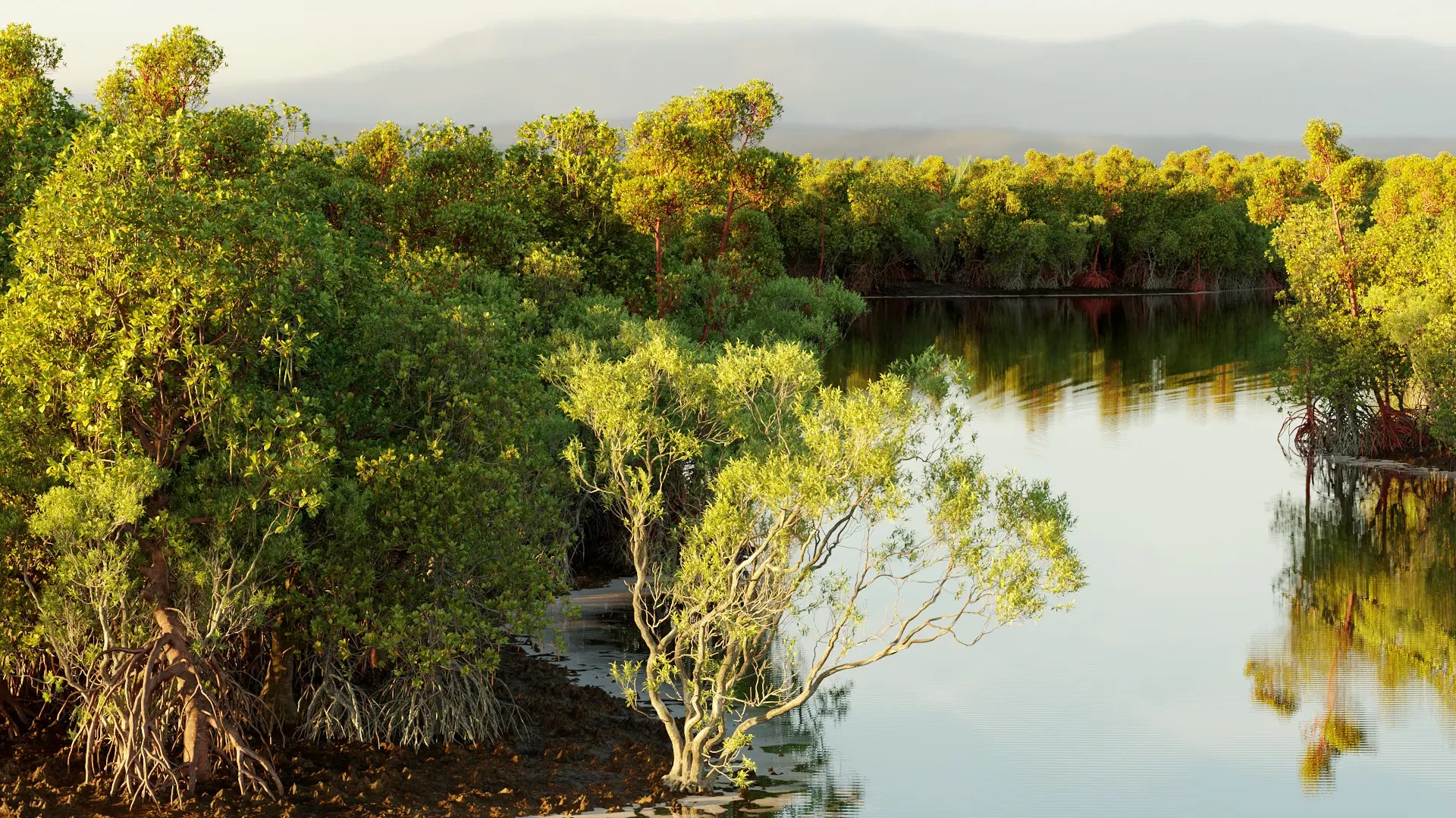 Bundle 50 - Mangrove Plants (3D Model) GrowFX