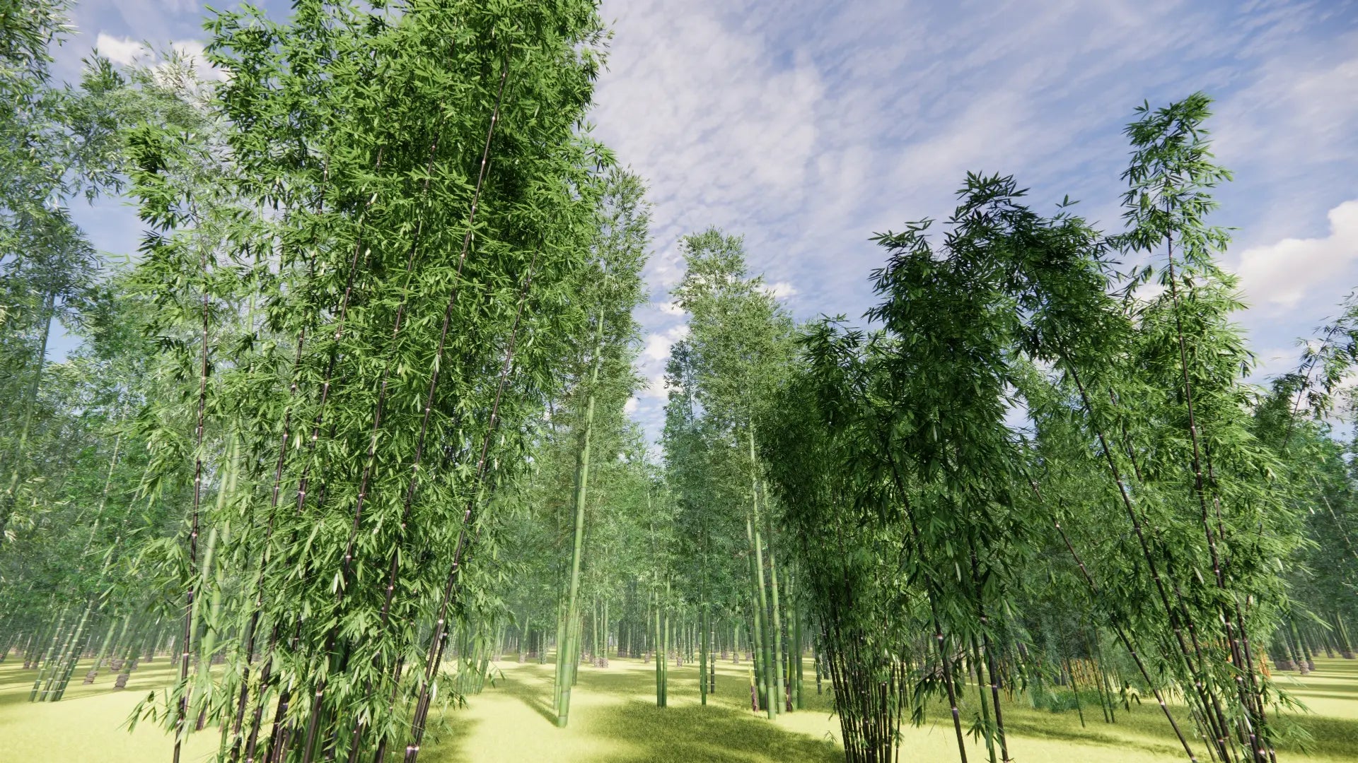 Low Poly Bundle 51 - Bamboo World (3D Model)