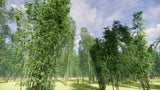 Load image into Gallery viewer, Low Poly Bundle 51 - Bamboo World (3D Model)