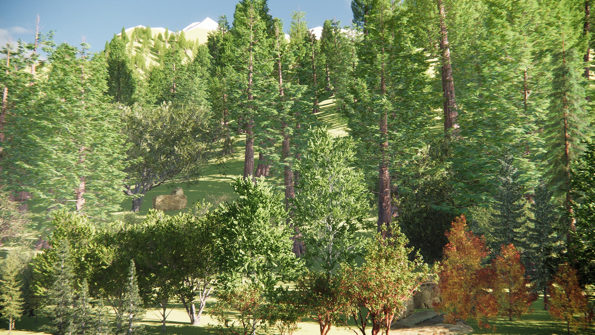 Rhino 3d Trees