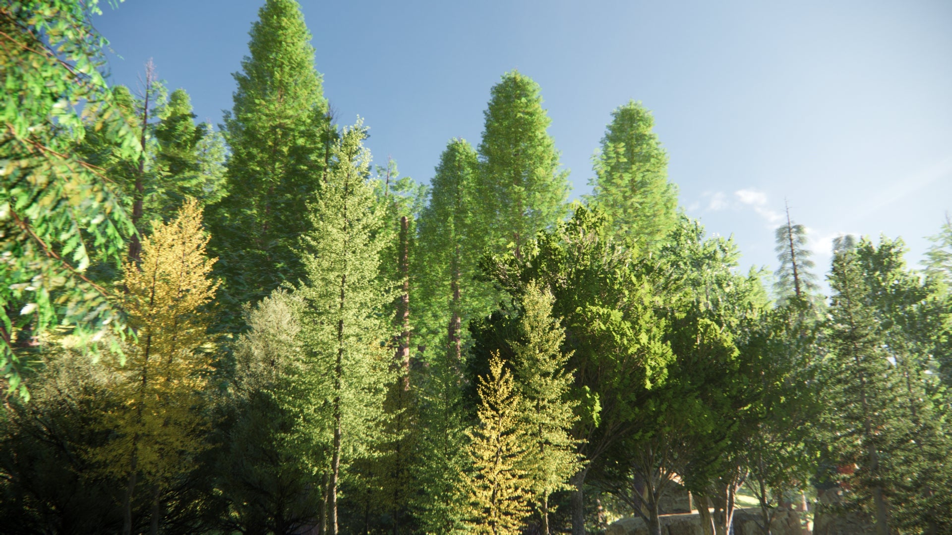 Low Poly Bundle 52 - North American Trees (3D Model)