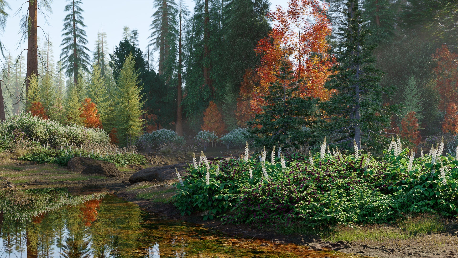 Bundle 52 - North American Trees (3D Model) GrowFX