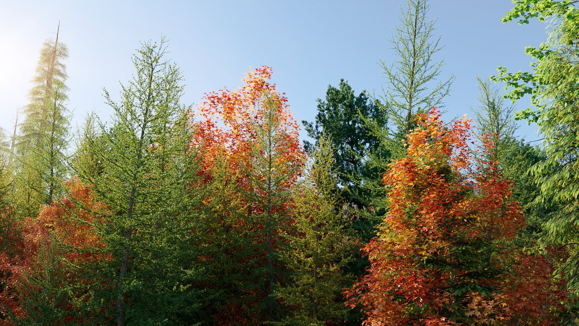 Bundle 52 - North American Trees (3D Model) GrowFX