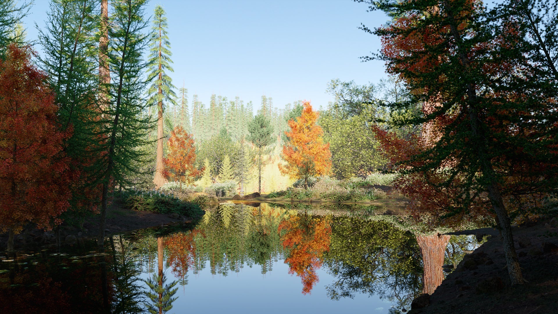 Bundle 52 - North American Trees (3D Model) GrowFX