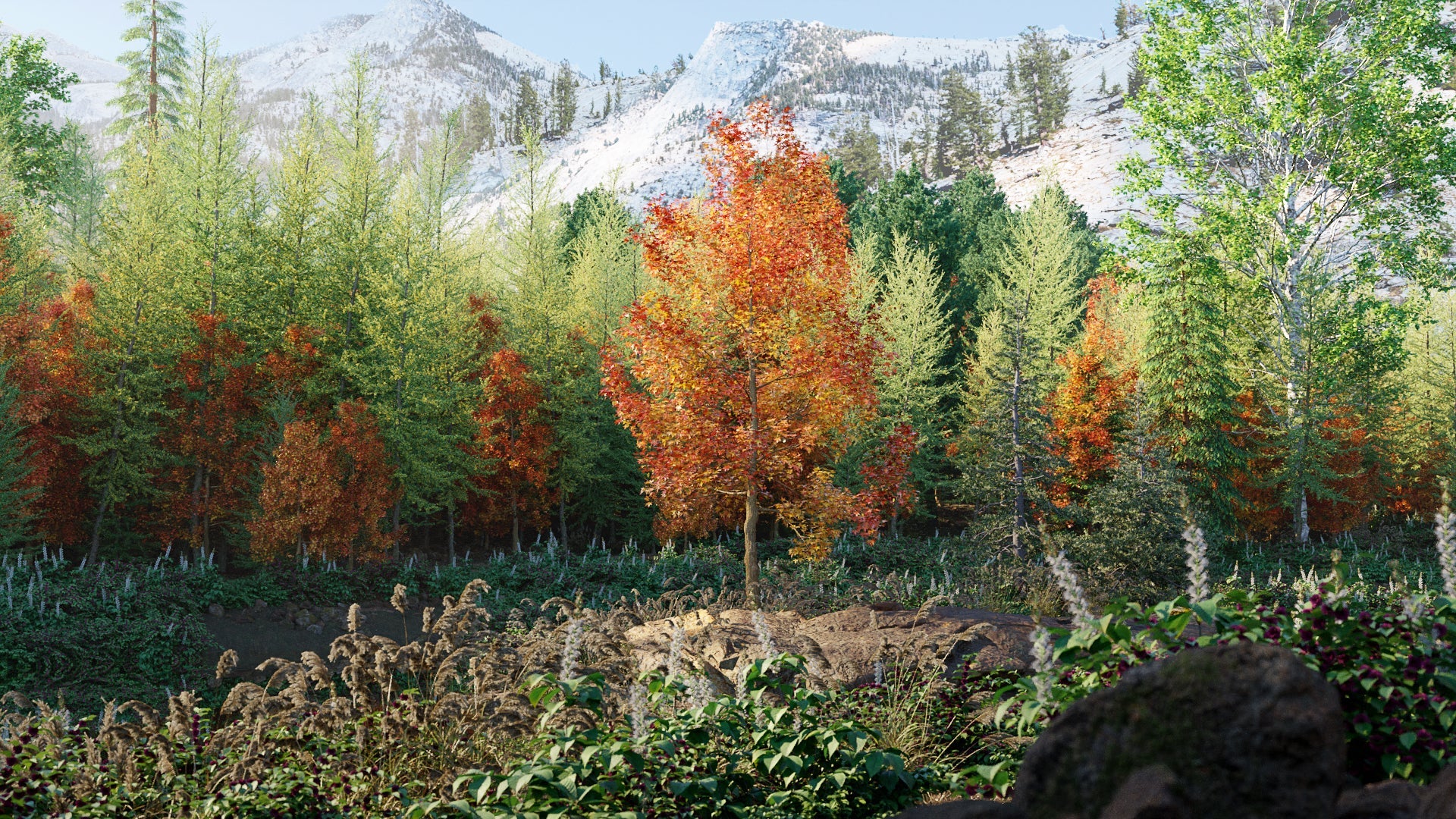 Bundle 52 - North American Trees (3D Model) GrowFX
