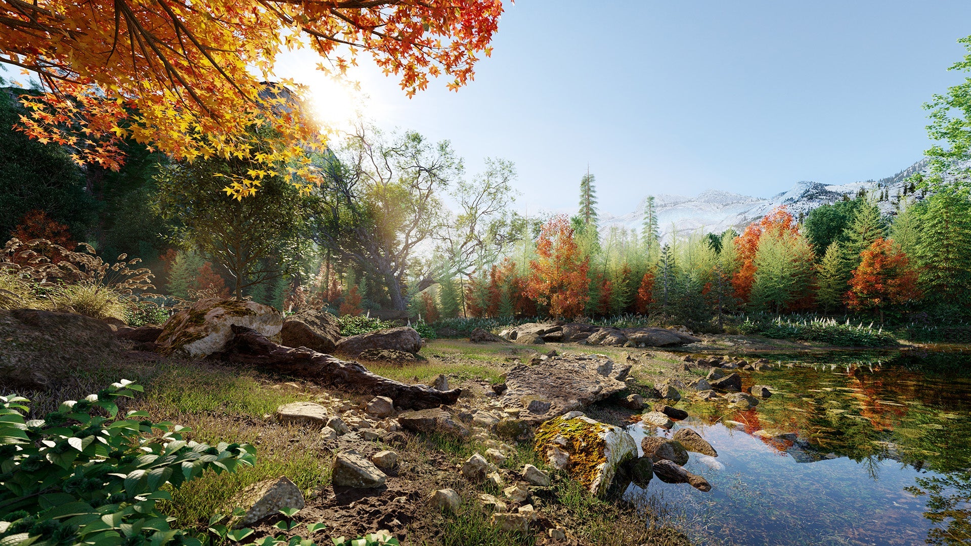 Bundle 52 - North American Trees (3D Model) GrowFX