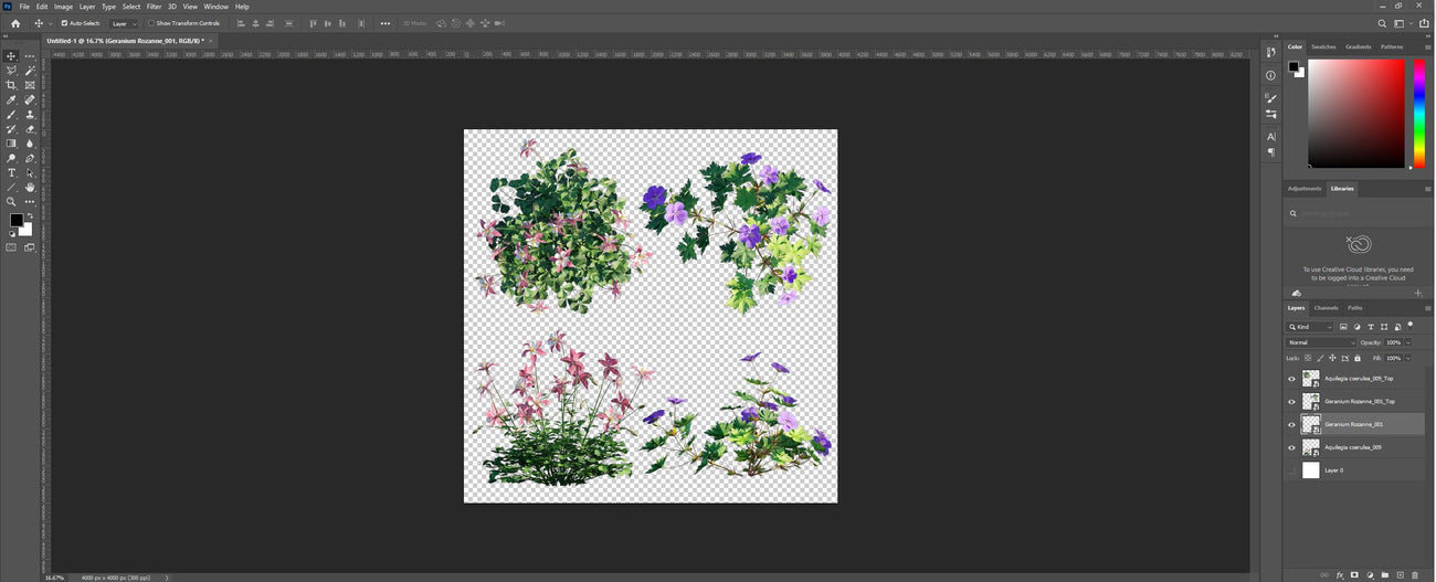 How our 2D PNG files look like in Photoshop