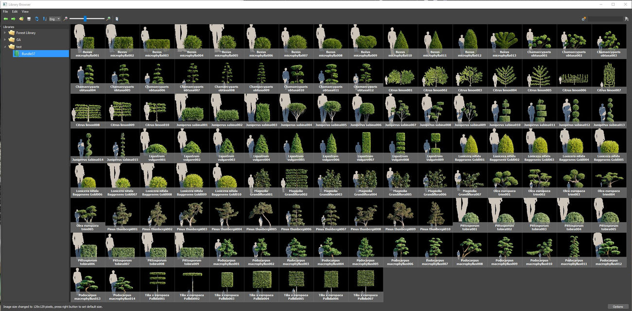 Forest Pack Library Preset for 3Ds Max
