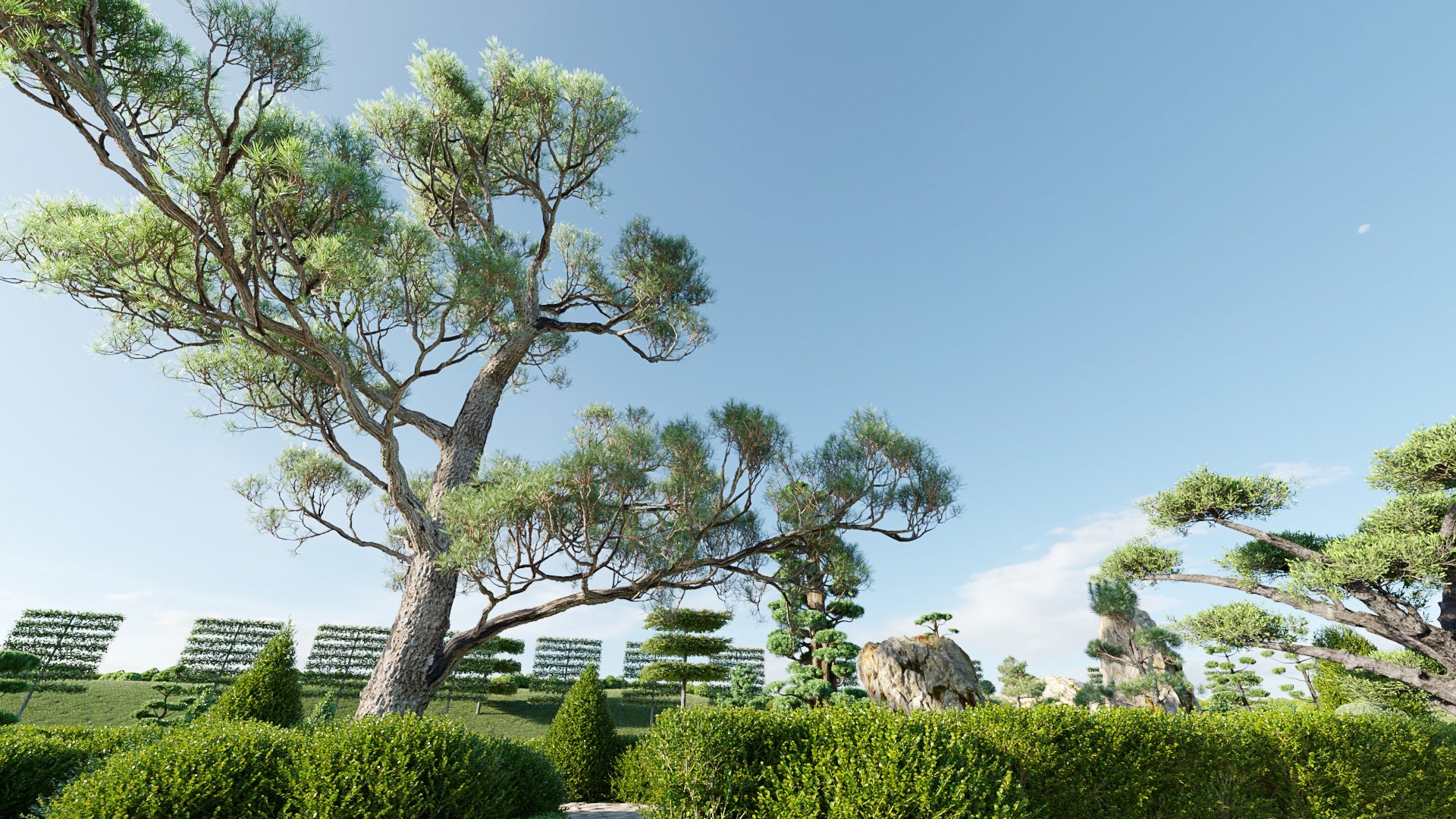 Bundle 57 - Ornamental Plants & Hedge 02 (3D Model) GrowFX