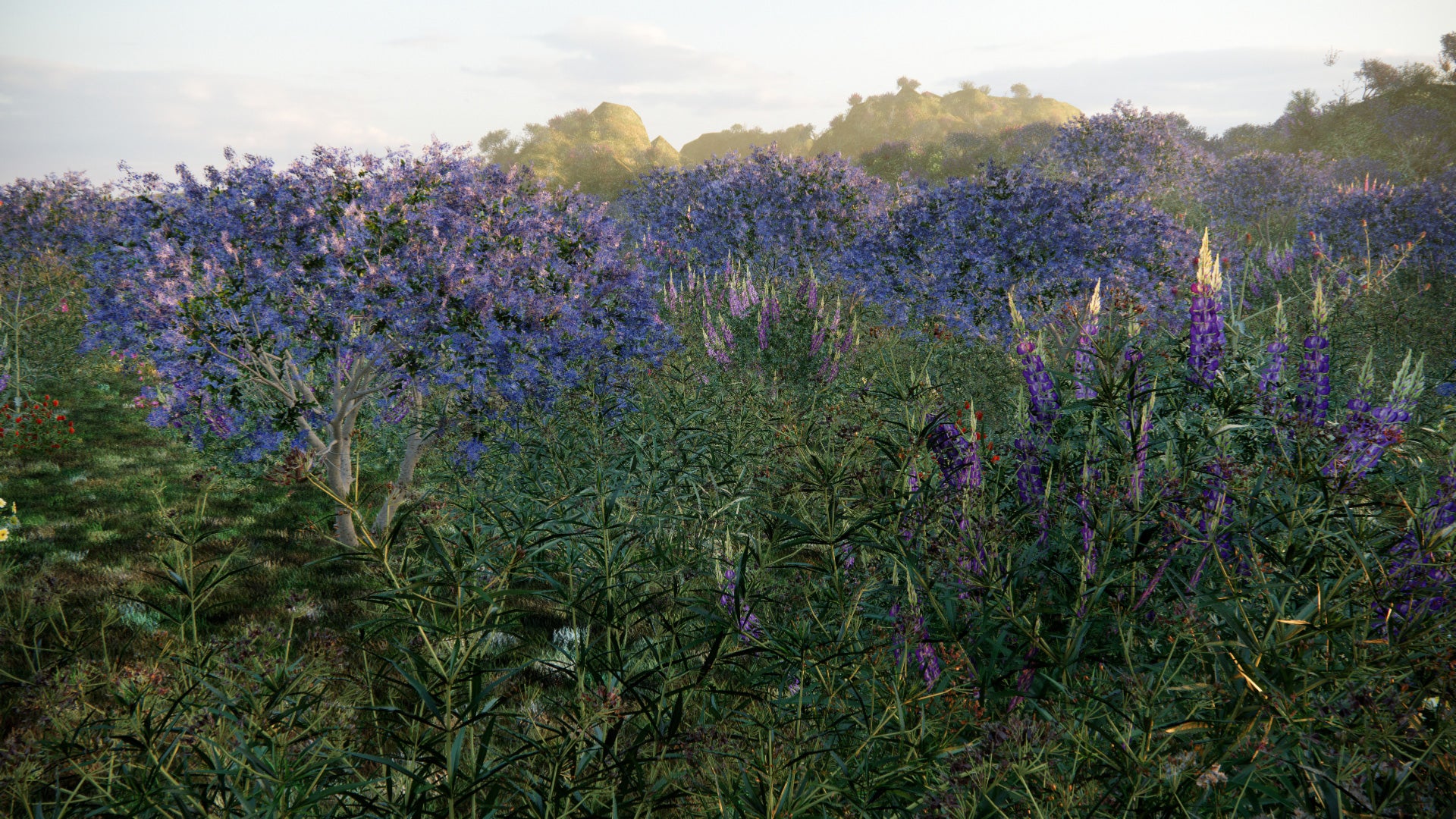 Low Poly Bundle 58 - Meadow Plants (3D Model)