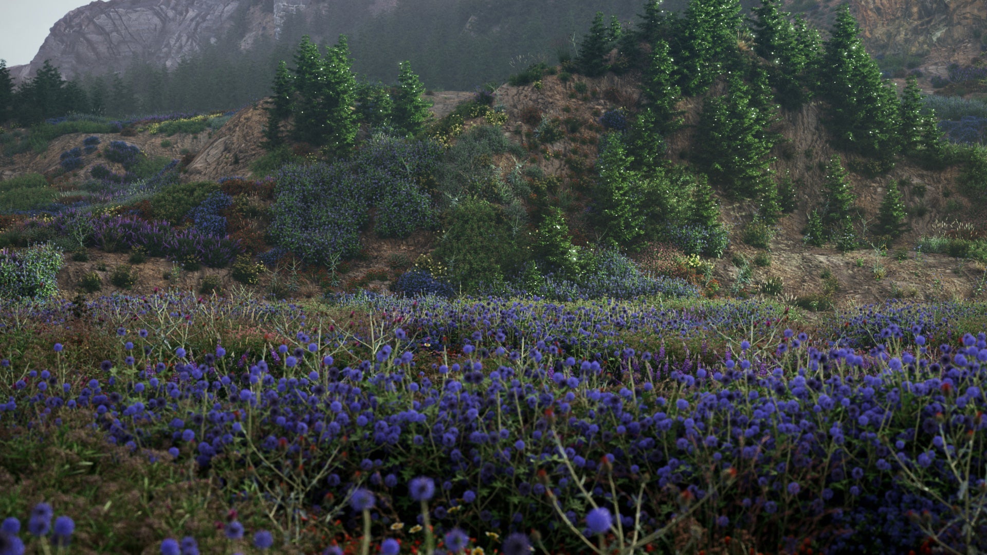 Bundle 58 - Meadow Plants (3D Model) GrowFX