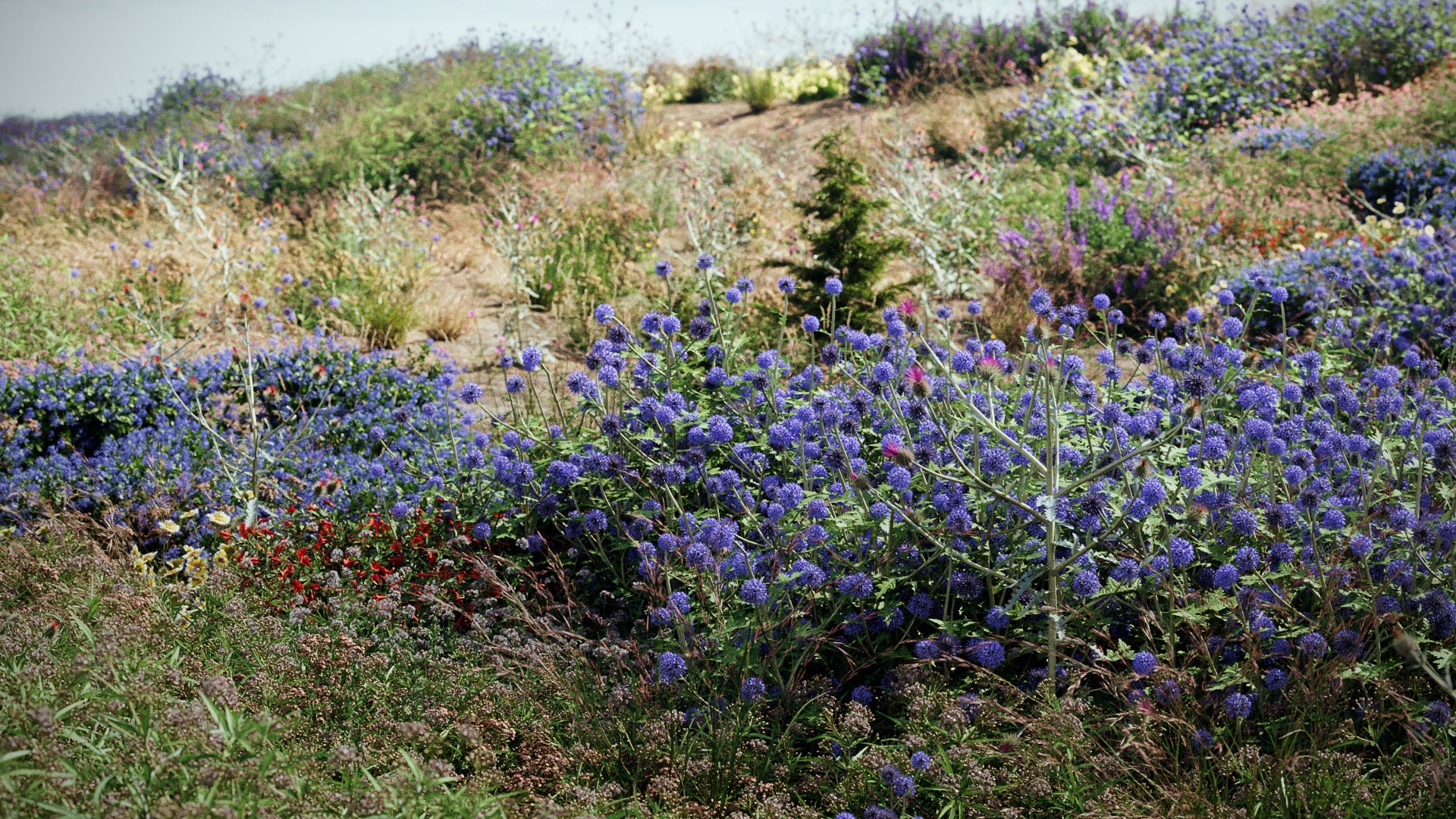 Bundle 58 - Meadow Plants (3D Model) GrowFX