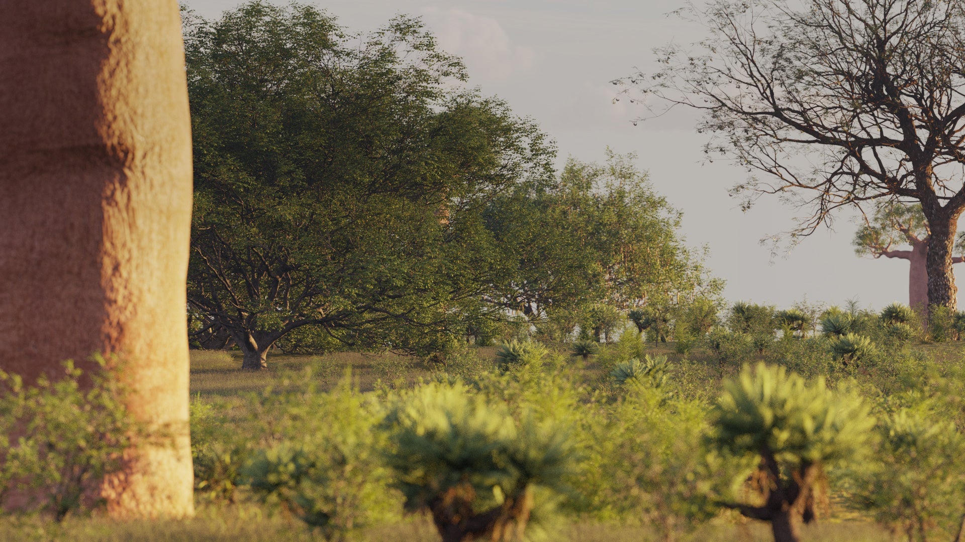 Bundle 59 - African Plants (3D Model) GrowFX