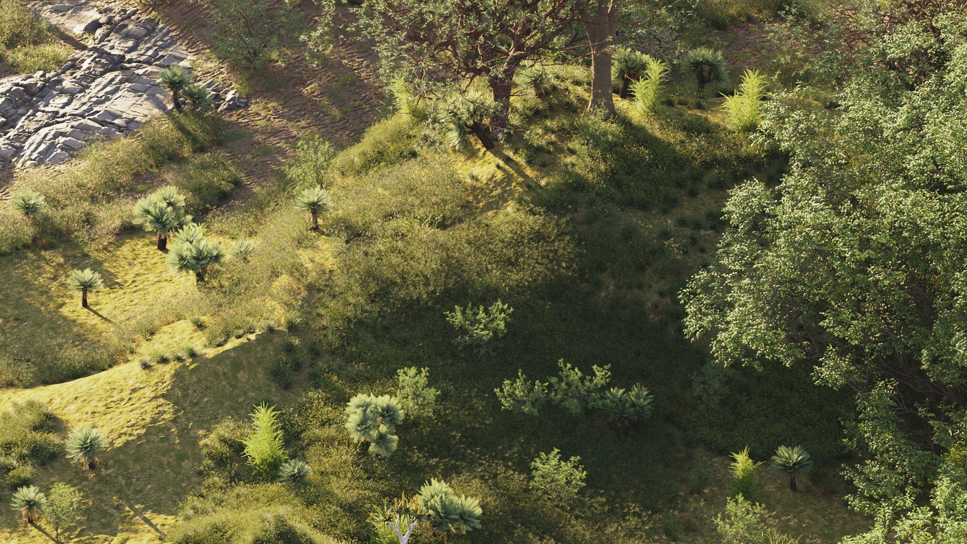 Bundle 59 - African Plants (3D Model) GrowFX