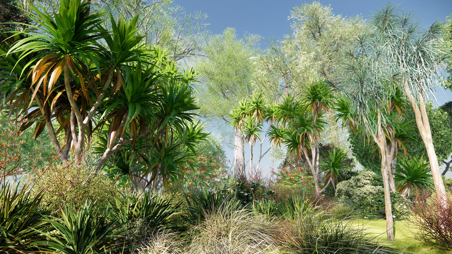 Low Poly Bundle 60 - New Zealand Native Plants (3D Model)