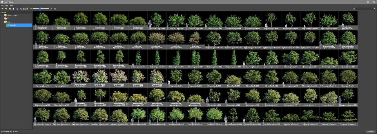 Forest Pack Library Preset for 3Ds Max